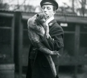 キーパー、レスリーマーティンフレウィン、ロンドン動物園で金華城を開催、1913年2月